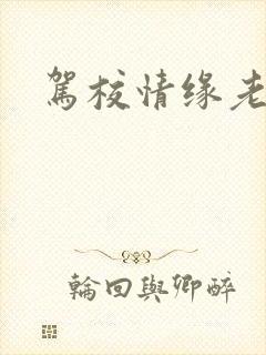 驾校情缘老赵