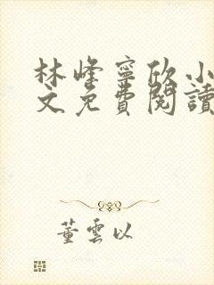 林峰宁欣小说全文免费阅读最新章节晚安阁
