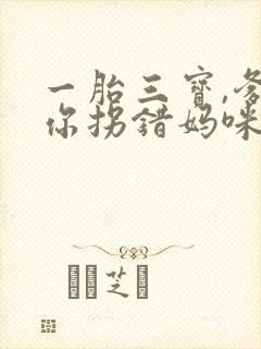 一胎三宝,爹地你拐错妈咪了免费阅读