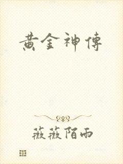 黄金神传封面