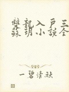 双龙入户三人行苏玥小说全文阅读