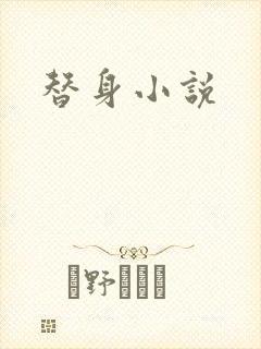 替身小说封面
