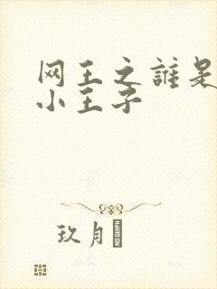 网王之谁是我的小王子