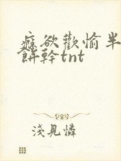 瘾欲欢愉半块小饼干tnt