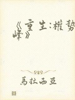 《重生:权势巅峰》