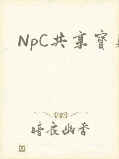 NpC共享宝贝