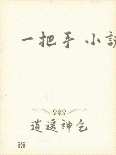 一把手 小说