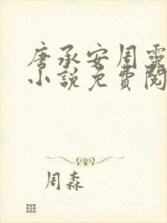 唐承安周灵珊的小说免费阅读最新章节封面