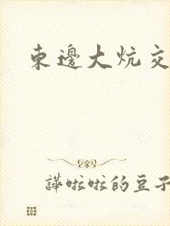 东边大炕交换