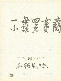 一母四女共一婿小说免费阅读老婆的