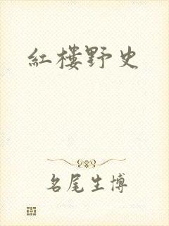 红楼野史封面
