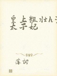 皇上粗壮h灌满太子妃封面