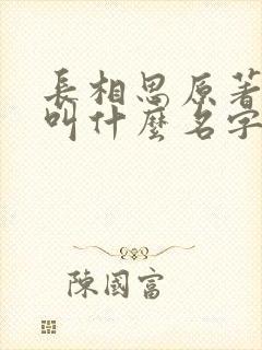 长相思原著小说叫什么名字