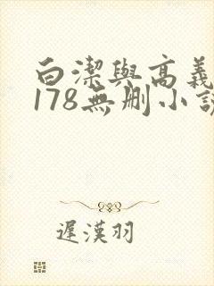 白洁与高义1～178无删小说封面