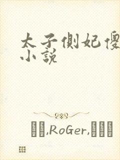 太子侧妃傻乎乎小说