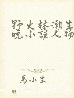 野火林潮生林晚晚小说人物野火