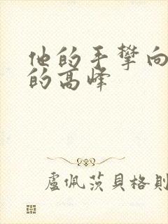 他的手攀向了我的高峰封面