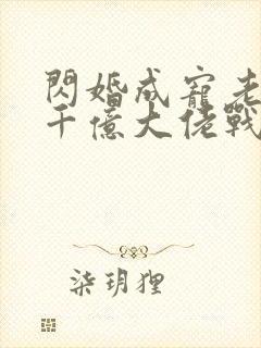 闪婚成宠老公是千亿大佬战胤海