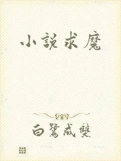 小说求魔封面
