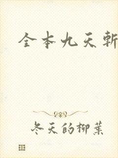 全本九天斩神诀封面