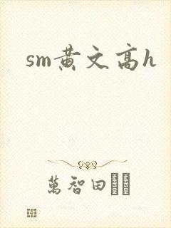 sm黄文高h