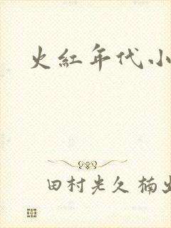 火红年代小说封面