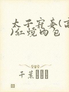 太子宠妾(高肉)红烧肉包