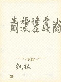 先婚后爱小说无删减在线阅读封面