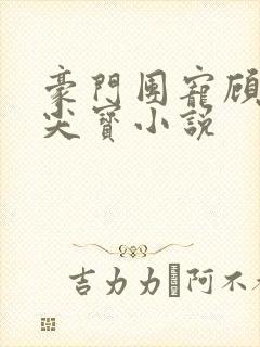 豪门团宠顾少心尖宝小说