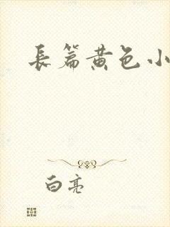 长篇黄色小说