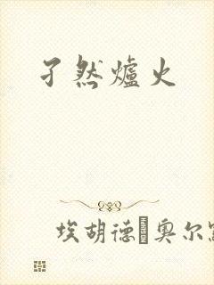 孑然炉火
