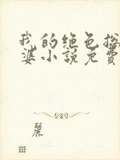 我的绝色总裁老婆小说免费阅读