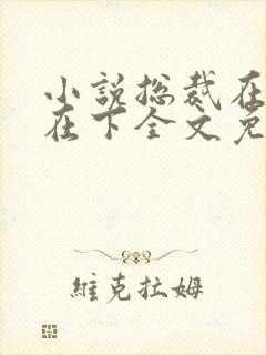 小说总裁在上我在下全文免费阅读