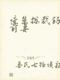 亿万总裁的替身前妻