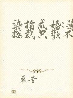 染指成婚:薄情总裁只欢不爱