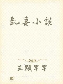 乱妻小说