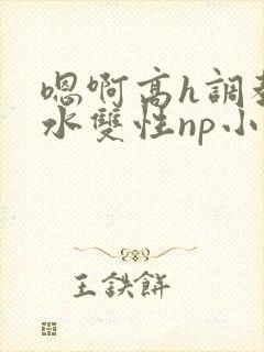 嗯啊高h调教喷水双性np小说