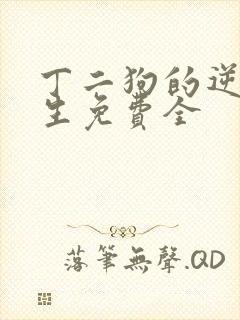 丁二狗的逆袭人生免费全