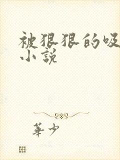 被狠狠的吸奶水小说