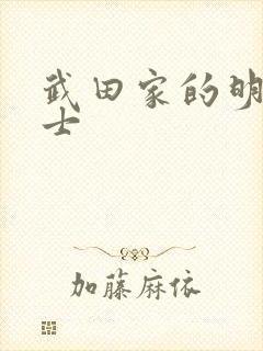 武田家的明国武士封面