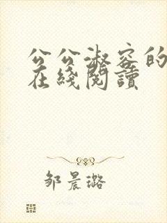 公公淑容的小说在线阅读