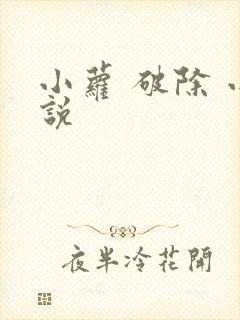 小萝 破除 小说