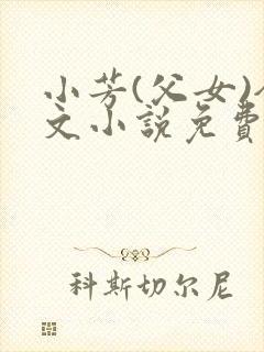 小芳(父女)全文小说免费阅读封面