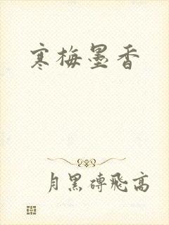 寒梅墨香封面