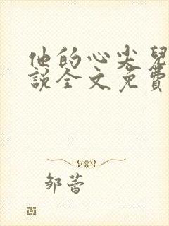 他的心尖儿宠小说全文免费阅读