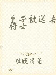 皇子被送去犒劳将士封面