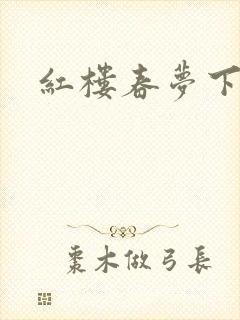 红楼春梦下载