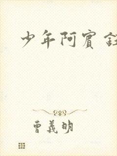 少年阿宾 钰慧