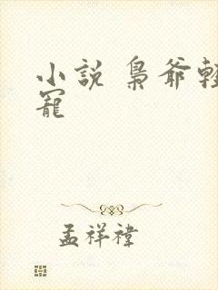 小说 枭爷轻点宠