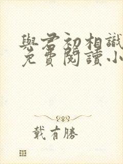 与君初相识全文免费阅读小说